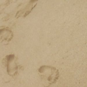 Meet your Posher, Shaun